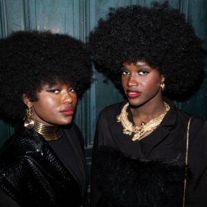 Natural Hair Style & Set 1 Natural Hair Style & Set